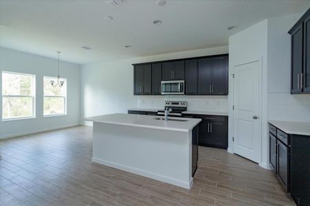 New construction Single-Family house 831 Griffon Avenue, Lake Alfred, FL 33850 Hillcrest- photo 6 6