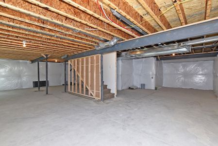 New construction Single-Family house 437 Vivid Lane, Windsor, CO 80550 - photo 41 41