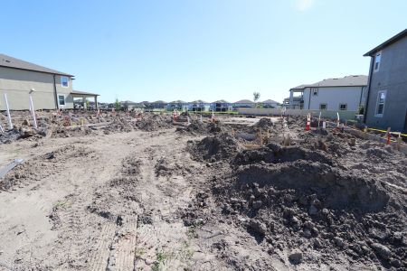 New construction Single-Family house 9464 Seagrass Port Pass, Wesley Chapel, FL 33545 Barcello Bonus- photo 9 9