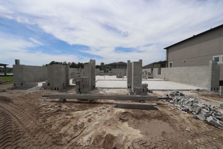 New construction Single-Family house 2941 Marine Grass Drive, Wimauma, FL 33598 Barcello- photo 5 5