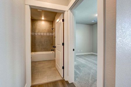 New construction Condo/Apt house 827 Schlagel Street, Fort Collins, CO 80524 - photo 80 80
