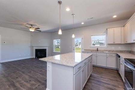 New construction Single-Family house 1633 Fire Tower Road, Sanford, NC 27330 - photo 10 10