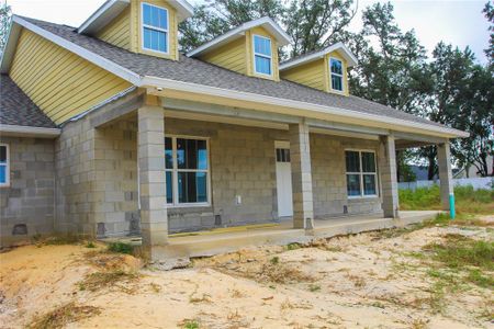 New construction Single-Family house 6600 Sw 109Th Lane, Ocala, FL 34476 - photo 19 19