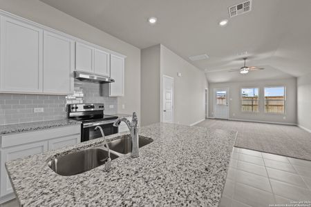 New construction Single-Family house 1315 Moby Drive, New Braunfels, TX 78130 - photo 8 8