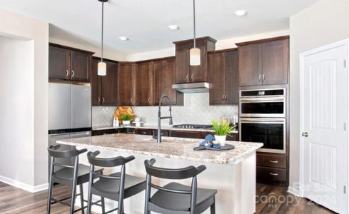 This is not actual kitchen, just a representation for size and layout.  The actual kitchen will have white cabinets, a gas range and microwave above the range.  Where you see the microwave and wall oven, there will be additional counterspace and cabinets.