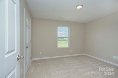 New construction Single-Family house 1655 Woolie Road, Lincolnton, NC 28092 - photo 27 27