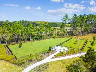New construction Single-Family house 21622 Violet Periwinkle Drive, Land O' Lakes, FL 34637 - photo 92 92