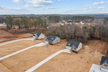 New construction Single-Family house 181 Andrews Landing Drive, Wendell, NC 27591 - photo 22 22