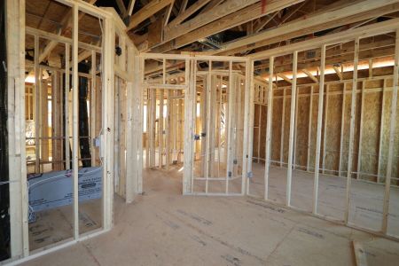 New construction Single-Family house 2345 Field Poppy Drive, Apex, NC 27502 Belmont- photo 20