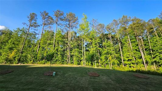 New construction Townhouse house 2419 Richmond Row Drive, Suwanee, GA 30024 - photo 23 23