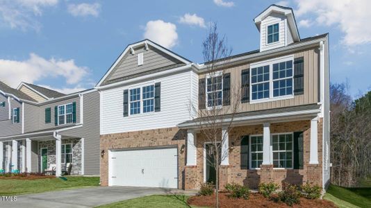New construction Single-Family house 115 Winter Star Court, Sanford, NC 27330 WILMINGTON- photo 2 2