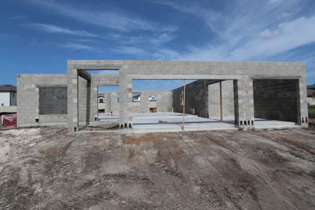 New construction Single-Family house 9489 Seagrass Port Pass, Wesley Chapel, FL 33545 Alenza- photo 19 19