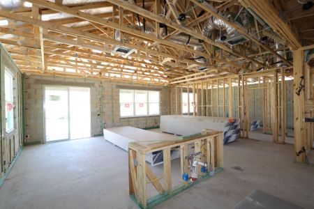 New construction Single-Family house 31835 Sapna Chime Drive, Wesley Chapel, FL 33545 Salinas- photo 28 28