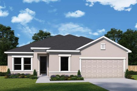 New construction Single-Family house The Chipper, 11706 Capstan Place, Parrish, FL 34219 - photo