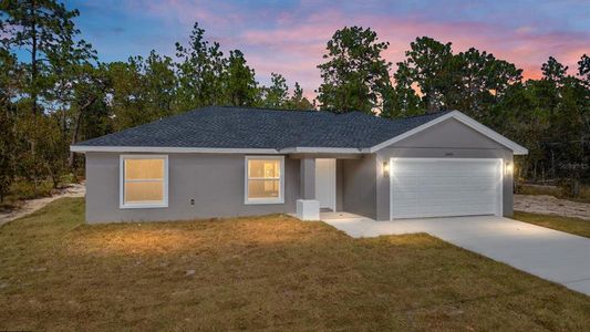 New construction Single-Family house 24053 Nw Tamarind Lane, Dunnellon, FL 34431 - photo 49 49