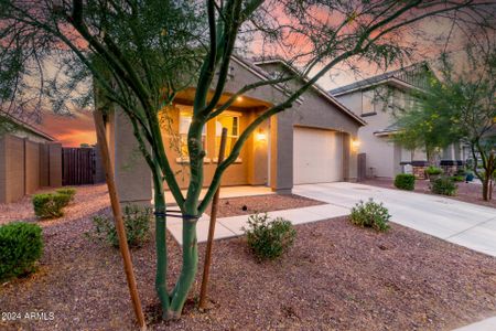 New construction Single-Family house 12369 W Whyman Avenue, Avondale, AZ 85323 - photo 21 21