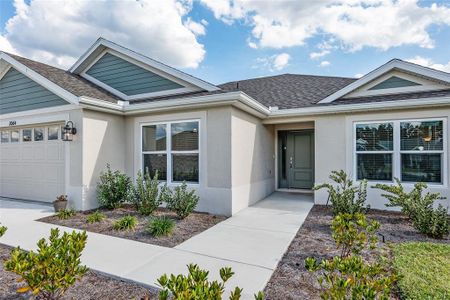 New construction Single-Family house 2064 Chaires Place, The Villages, FL 34762 - photo 5 5