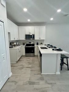 New construction Townhouse house 9716 Sweetwell Place, Riverview, FL 33569 Charlotte- photo