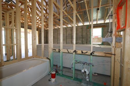 New construction Single-Family house 33224 Amling Pecan Branch, Wesley Chapel, FL 33545 Newport II- photo 19 19