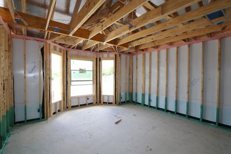 New construction Single-Family house 208 Cottonwood Canyon Drive, Melissa, TX 75454 Auburn- photo 15 15