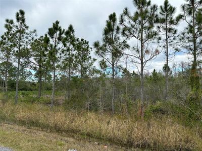 New construction Manufactured Home house 9405 Helena Drive, Saint Cloud, FL 34773 - photo 35 35