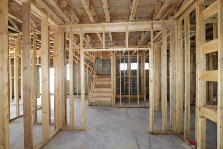 New construction Single-Family house 2868 Misty Marble Drive, Zephyrhills, FL 33540 Herrera- photo 16 16
