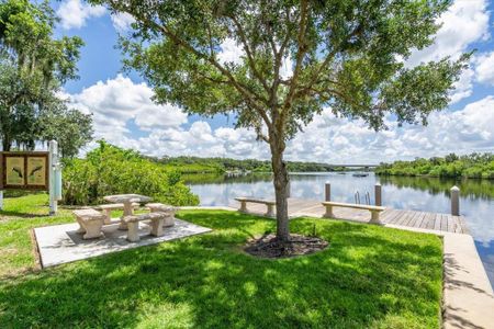 New construction Single-Family house 1529 Rio Vista Terrace, Parrish, FL 34219 - photo 19 19