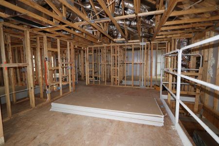 New construction Single-Family house 519 Diorite Cv, Liberty Hill, TX 78642 Sabine- photo 15 15