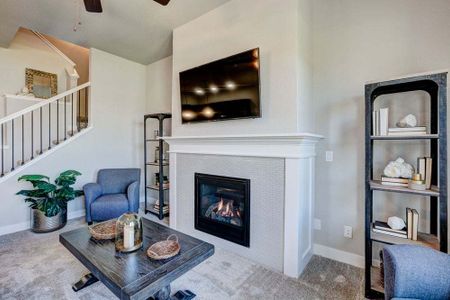 New construction Townhouse house 6248 Vernazza Way, Windsor, CO 80550 - photo 85 85
