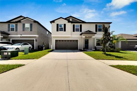 New construction Single-Family house 12958 Wildflower Meadow Drive, Riverview, FL 33579 - photo 0