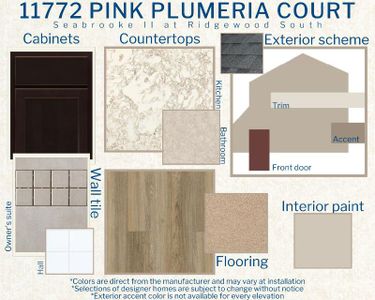 New construction Single-Family house 11772 Pink Plumeria Court, Riverview, FL 33579 Seabrooke II- photo 4 4