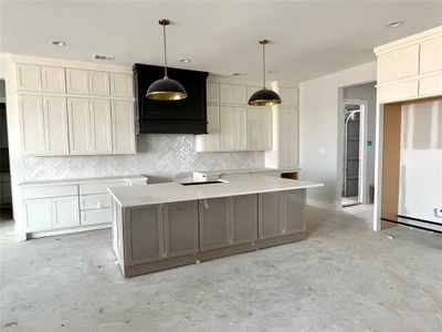 New construction Single-Family house 1019 Lake Breeze Drive, Waller, TX 77484 - photo 4 4