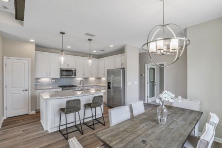 Seaire by Dream Finders Homes in Palmetto - photo 17 17