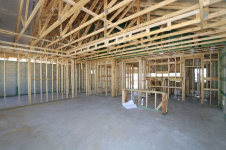 New construction Single-Family house 31835 Sapna Chime Drive, Wesley Chapel, FL 33545 Salinas- photo 11 11