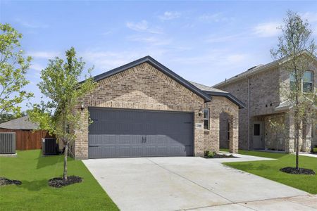 New construction Single-Family house 3304 Dahlia Drive, Melissa, TX 75454 Mesquite- photo 3 3