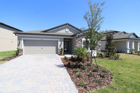 New construction Single-Family house 837 Hillshire Place, Spring Hill, FL 34609 Marque- photo 9 9