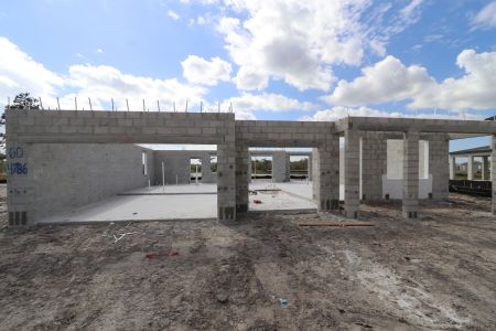 New construction Single-Family house 4786 Beachrose Way, Lakeland, FL 33811 Dali- photo 14 14