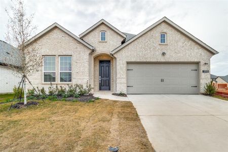 New construction Single-Family house 1213 Lavinola Lane, Anna, TX 75409 - photo 0 0