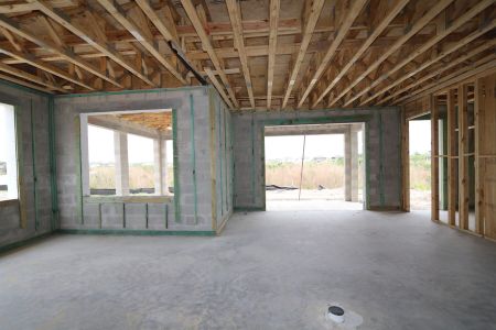 New construction Single-Family house 2522 Sunny Pebble Loop, Zephyrhills, FL 33540 Mira Lago- photo 16 16