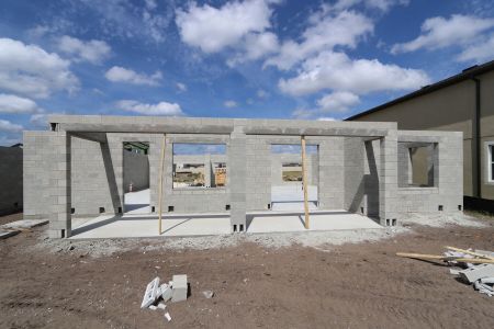New construction Single-Family house 9476 Seagrass Port Pass, Wesley Chapel, FL 33545 Dali- photo 9 9