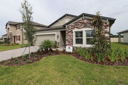 New construction Single-Family house 837 Hillshire Place, Spring Hill, FL 34609 Marque- photo 10 10