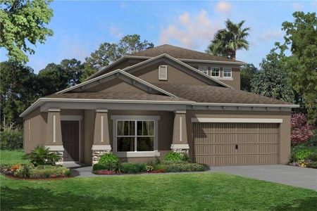 New construction Single-Family house 849 Hillshire Place, Spring Hill, FL 34609 Picasso Bonus- photo 0