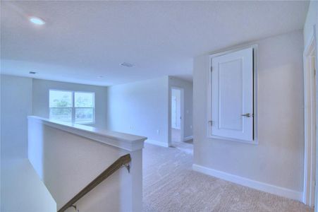 New construction Single-Family house 1746 Carnostie Rd, Winter Haven, FL 33884 2405- photo 34 34