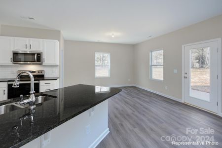 New construction Single-Family house 245 Robinson Clemmer Road, Dallas, NC 28034 - photo 11 11