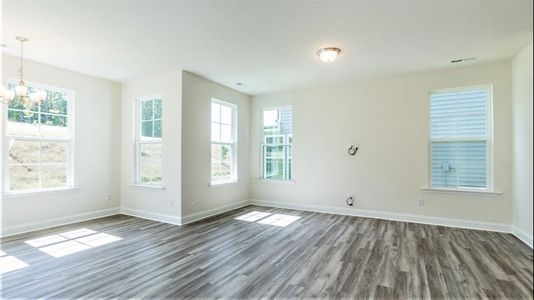 New construction Single-Family house 36 Steel Springs Lane, Angier, NC 27501 Bordeaux- photo 12 12