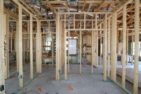 New construction Single-Family house 33224 Amling Pecan Branch, Wesley Chapel, FL 33545 Newport II- photo 28 28