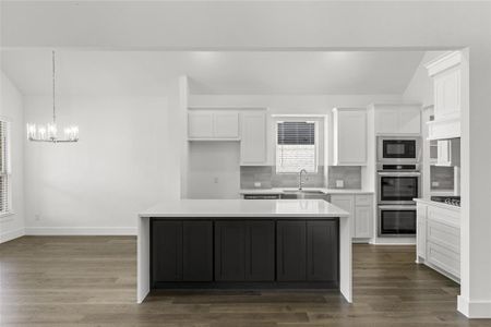 920 Pilatus  Kitchen