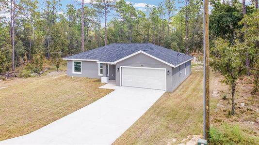 New construction Single-Family house 117 Nw Sparrow Road, Dunnellon, FL 34431 - photo 47 47