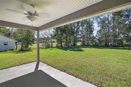 New construction Single-Family house 15 Redwood Run Loop, Ocala, FL 34472 - photo 2 2