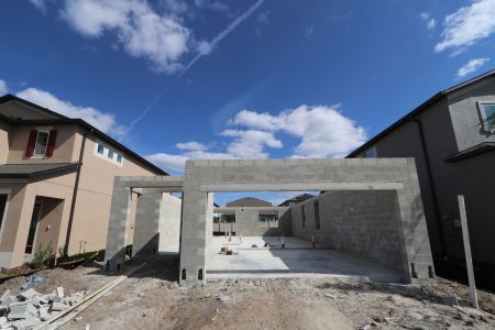 New construction Single-Family house 2852 Misty Marble Drive, Zephyrhills, FL 33540 Castellana- photo 5 5